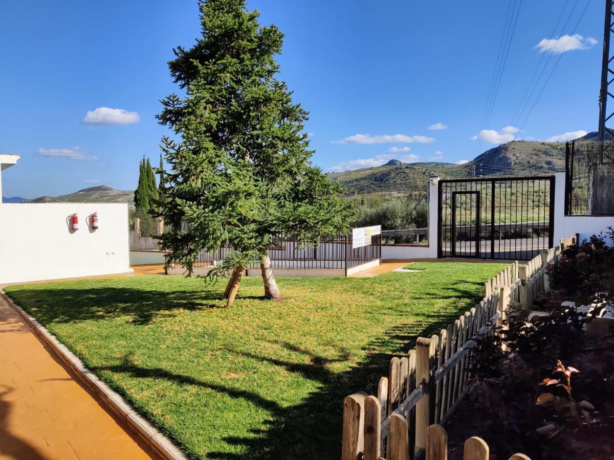 Apartamento Rural Villa Aurora Luque Kültér fotó
