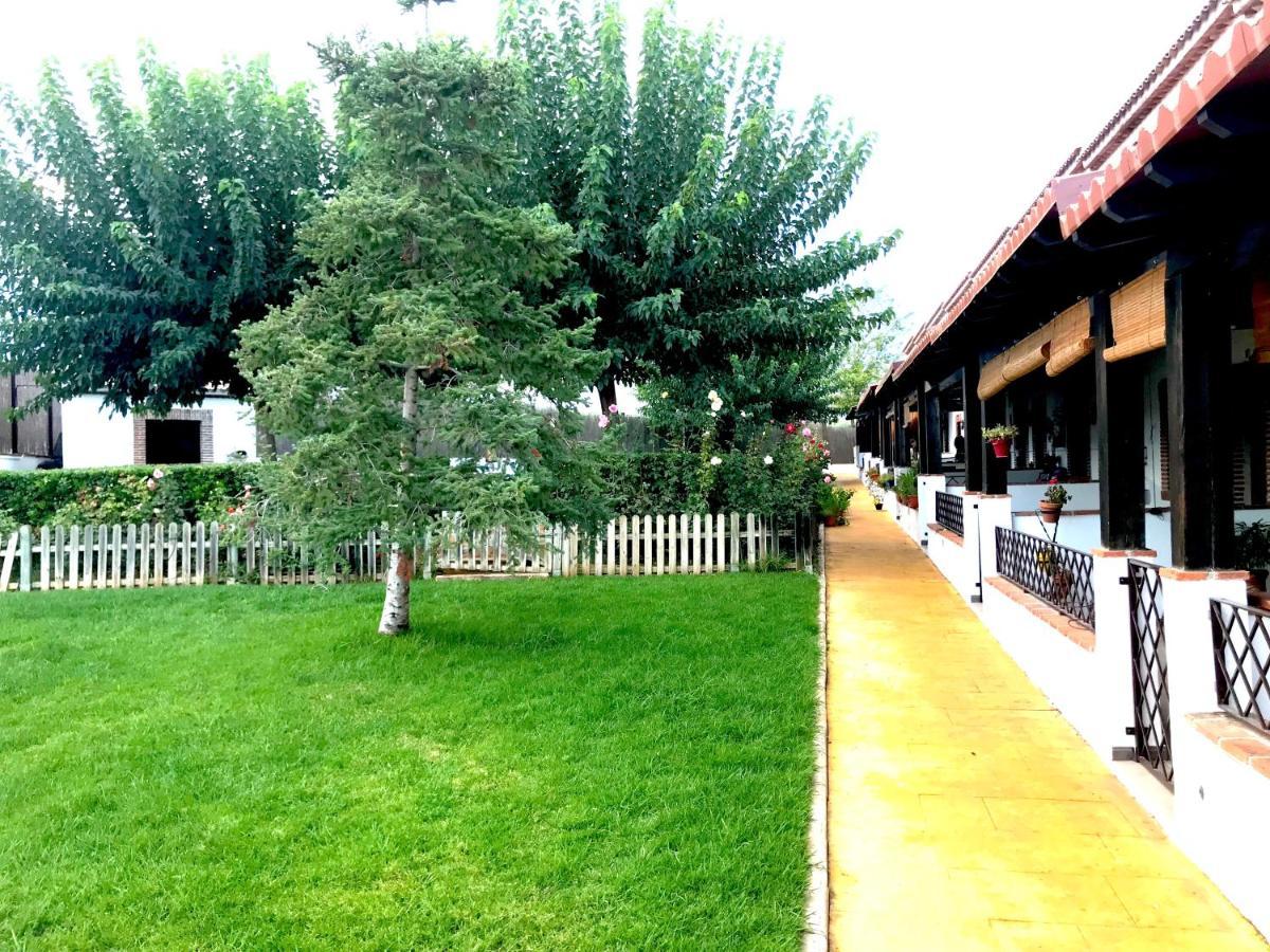 Apartamento Rural Villa Aurora Luque Kültér fotó